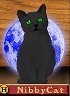 Nibby2.jpg
