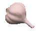 1 Garlic