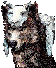 1 Sheeps Clothing